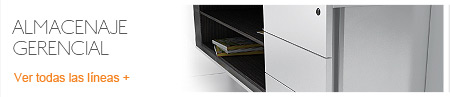 Almacenaje Gerencial