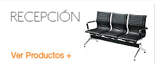 Recepci&oacute;n